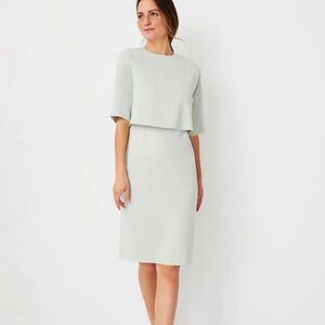 (SOLD)Ann Taylor Overlay Elbow Sleeve Dress